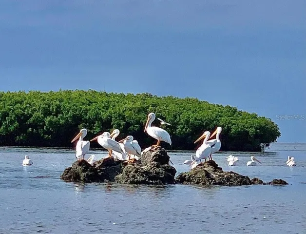 $444,900 | 14371 West Ebbtide Court, Crystal River, FL 34429