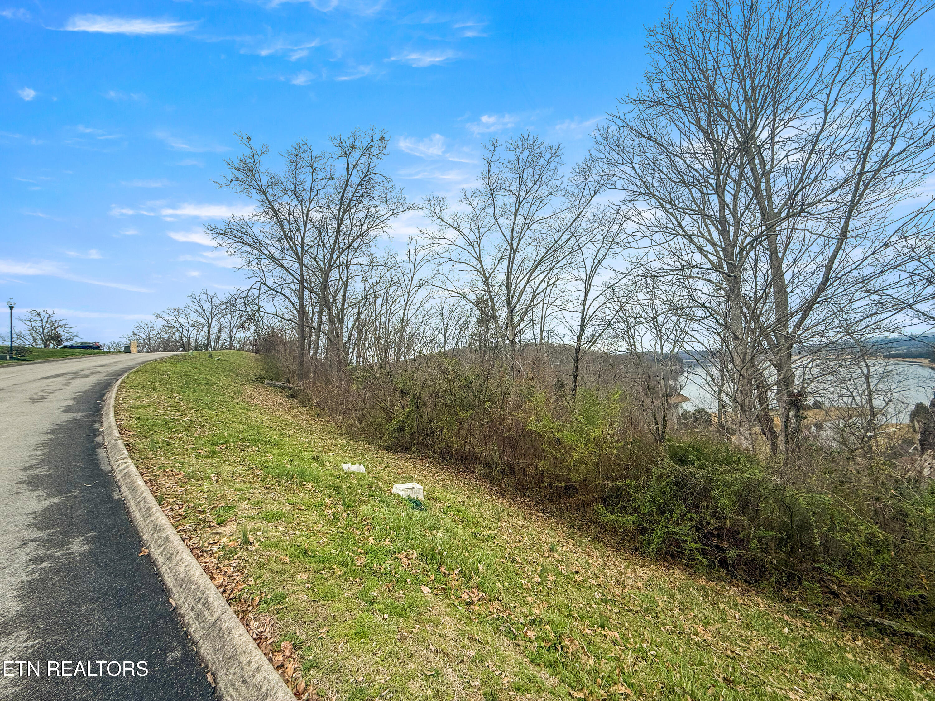 2021 Turner Landing Road Russellville, TN 37860 - Photo 4 of 25 IMG_4463