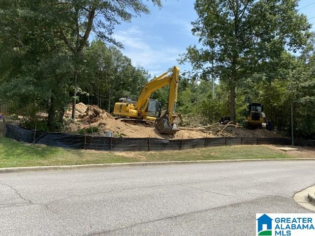 101 Wild Timber Parkway Pelham, AL 35124 - Photo 3 of 4