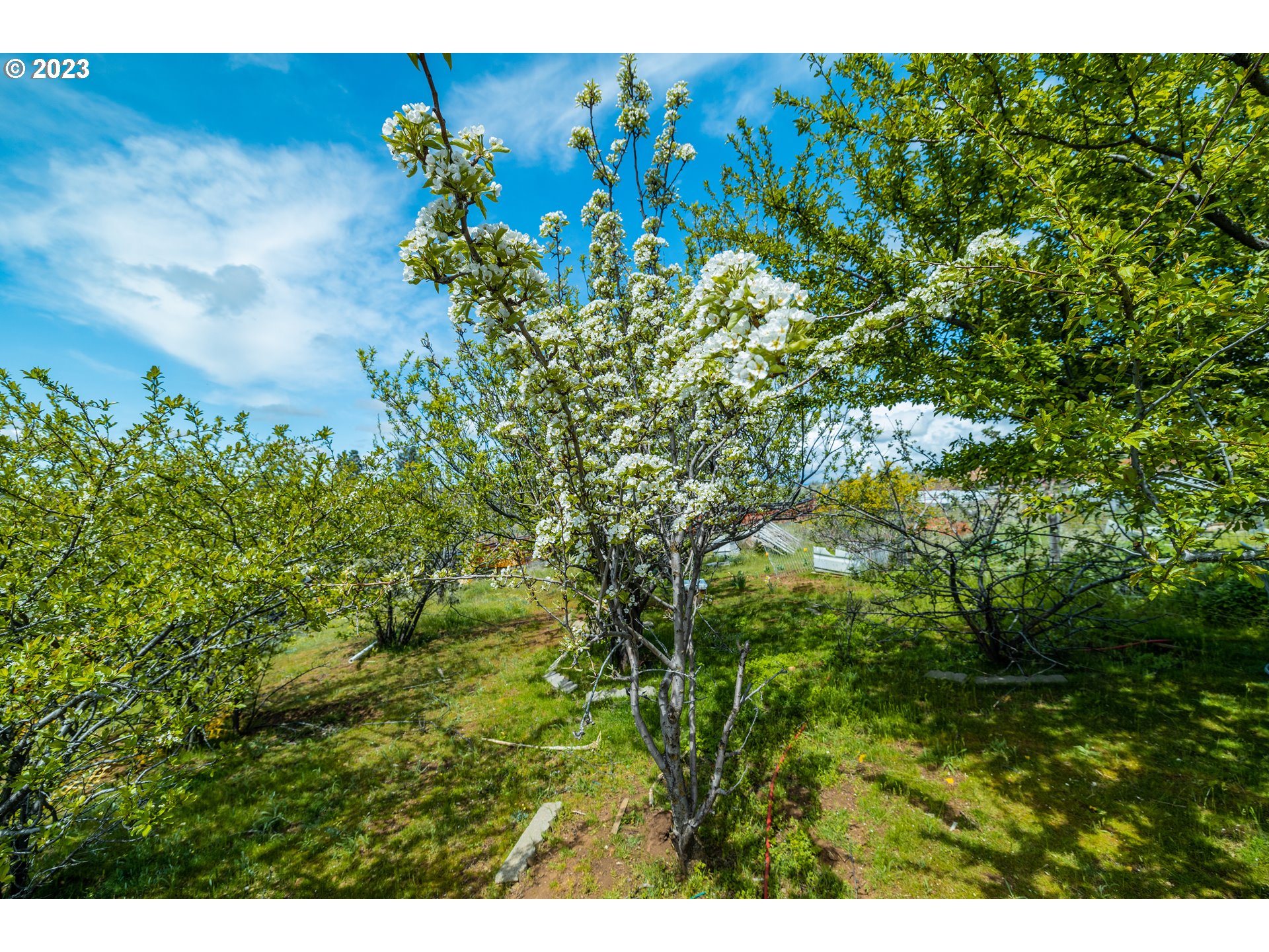 125 Old Mountain Road Goldendale, WA 98620 - Photo 27 of 35 Gallery Image 27