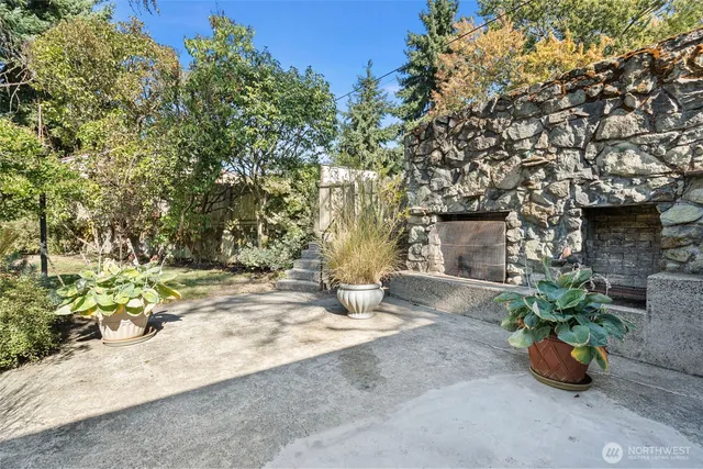 a view of a garden with plants