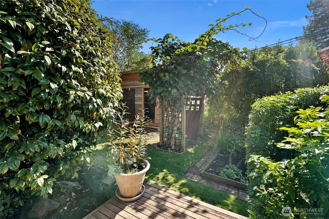 a view of a path along with potted plants and large tree