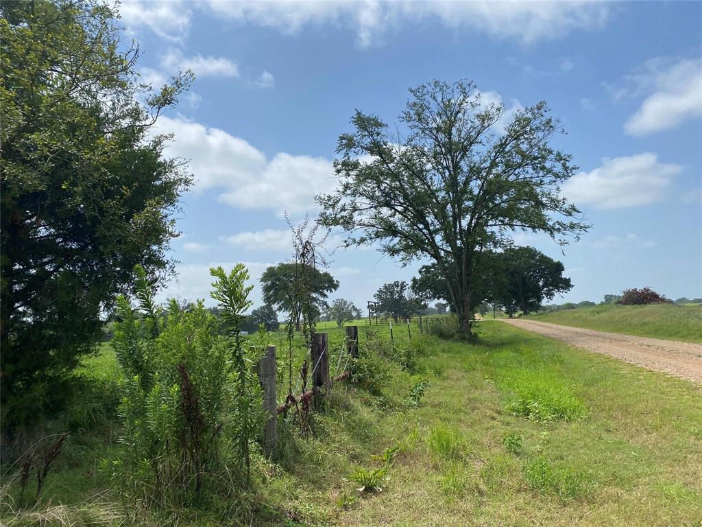 2425 County Road 2425 Como, TX 75431 - Photo 13 of 13 a backyard of a house with lots of green space and lake view