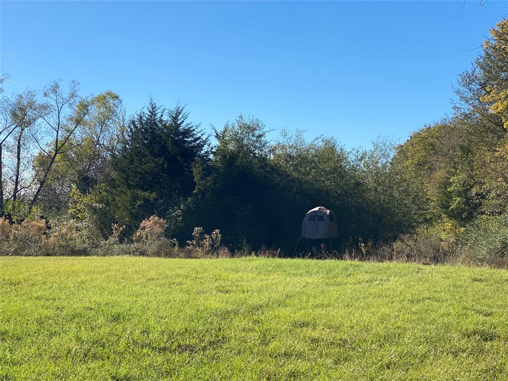 2425 County Road 2425 Como, TX 75431 - Photo 8 of 11 View of yard