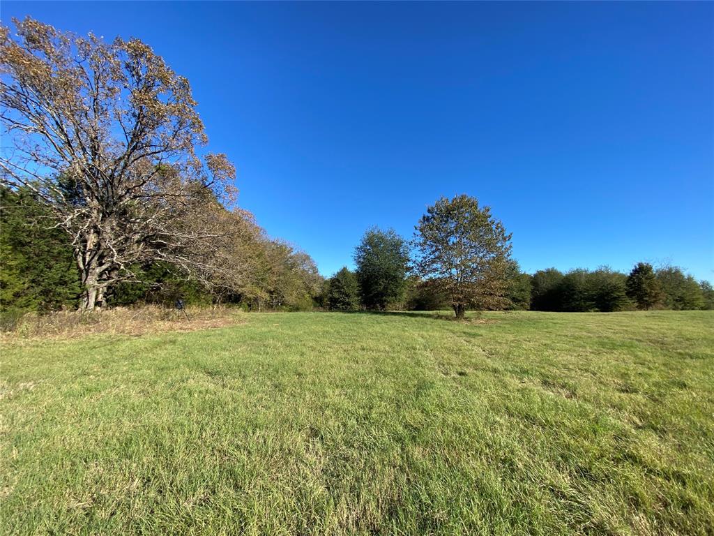 2425 County Road 2425 Como, TX 75431 - Photo 9 of 11 View of yard with a rural view