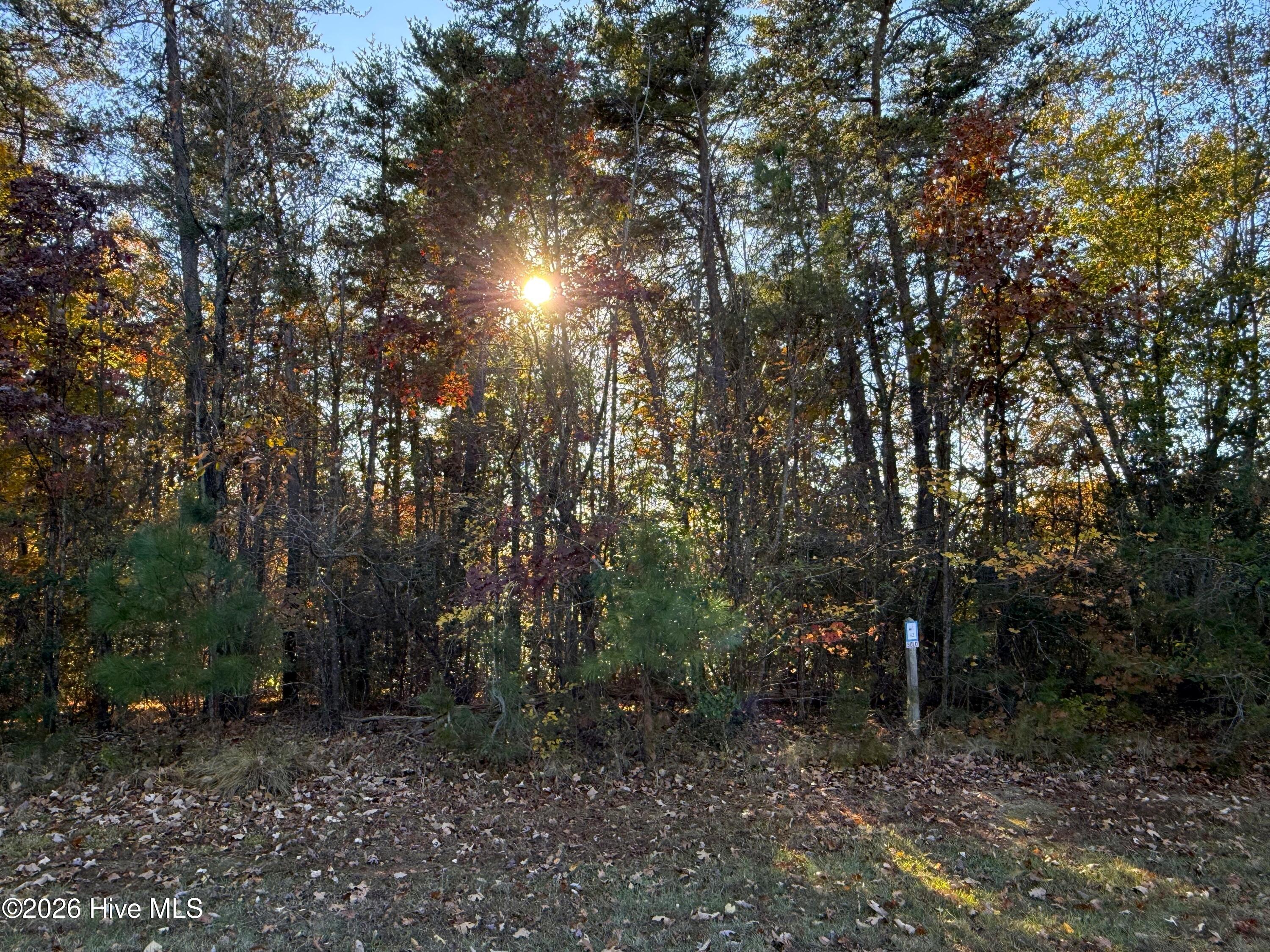 173 Lake View Pass Rockingham, NC 28379 - Photo 11 of 19 IMG_5049