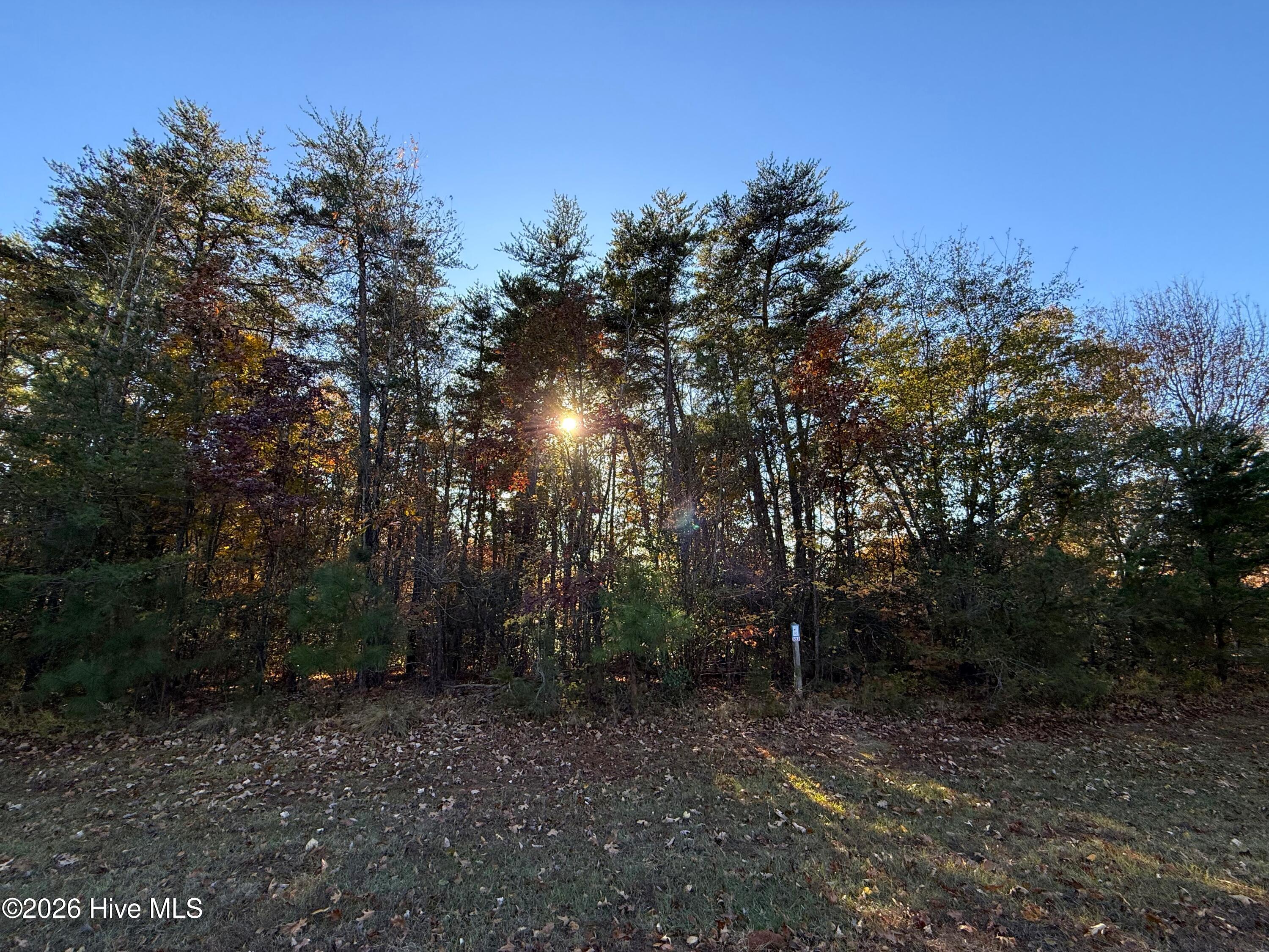 173 Lake View Pass Rockingham, NC 28379 - Photo 18 of 19 IMG_5050
