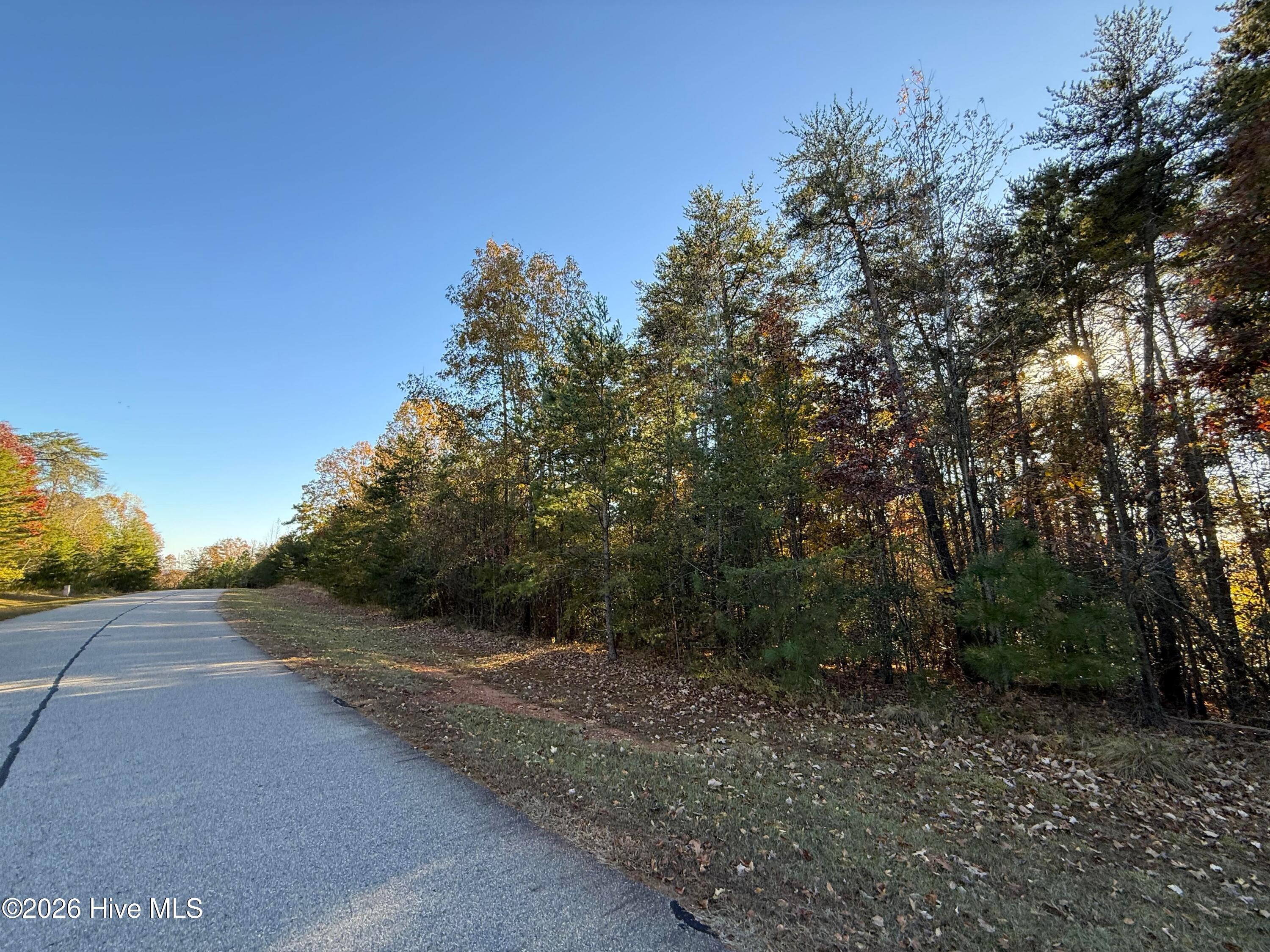 173 Lake View Pass Rockingham, NC 28379 - Photo 19 of 19 unnamed