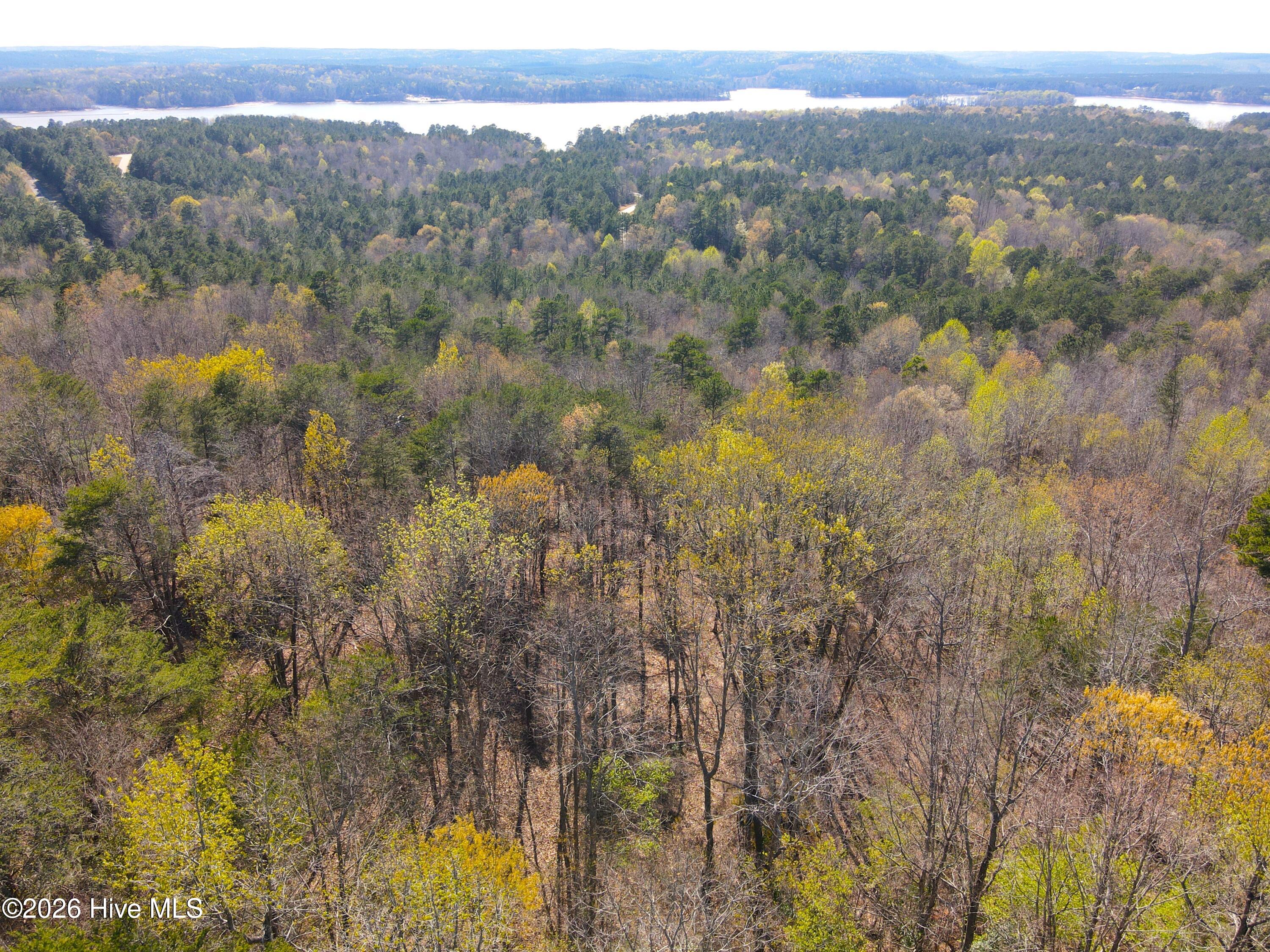 173 Lake View Pass Rockingham, NC 28379 - Photo 7 of 19 dji_fly_20260317_161016_213_177379309102