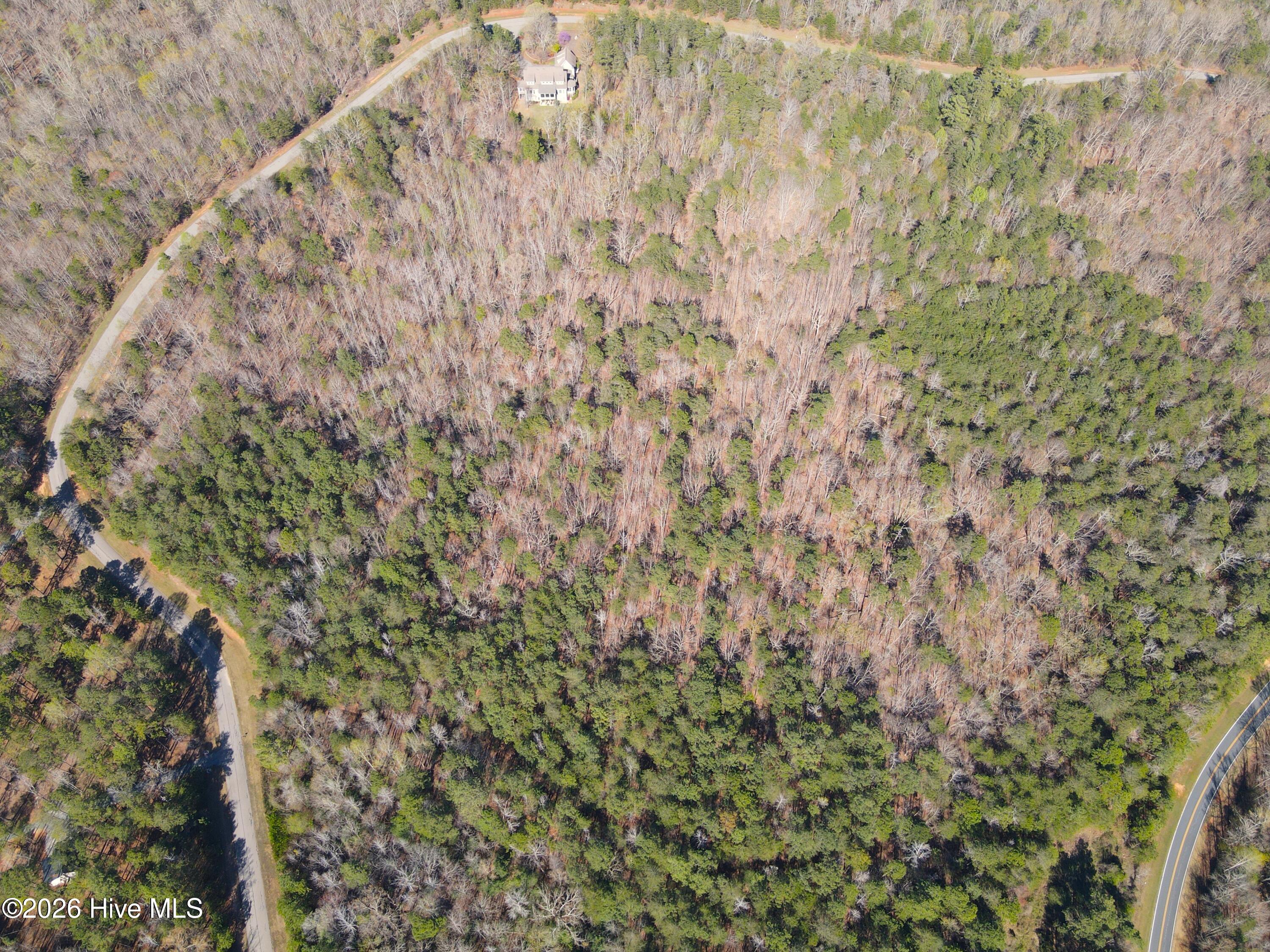 173 Lake View Pass Rockingham, NC 28379 - Photo 8 of 19 dji_fly_20260317_160732_210_177379309693