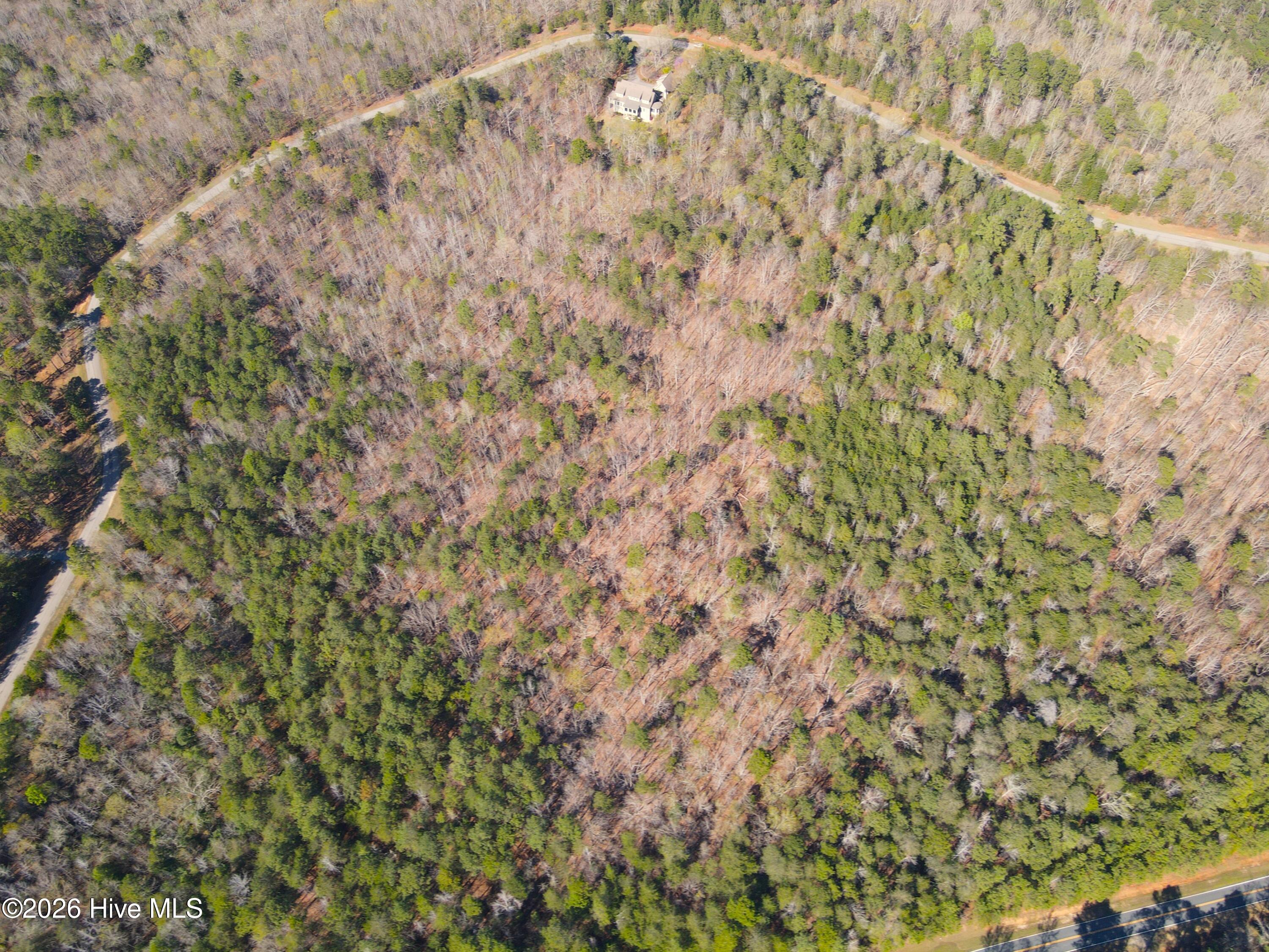 173 Lake View Pass Rockingham, NC 28379 - Photo 9 of 19 dji_fly_20260317_160748_211_177379309481
