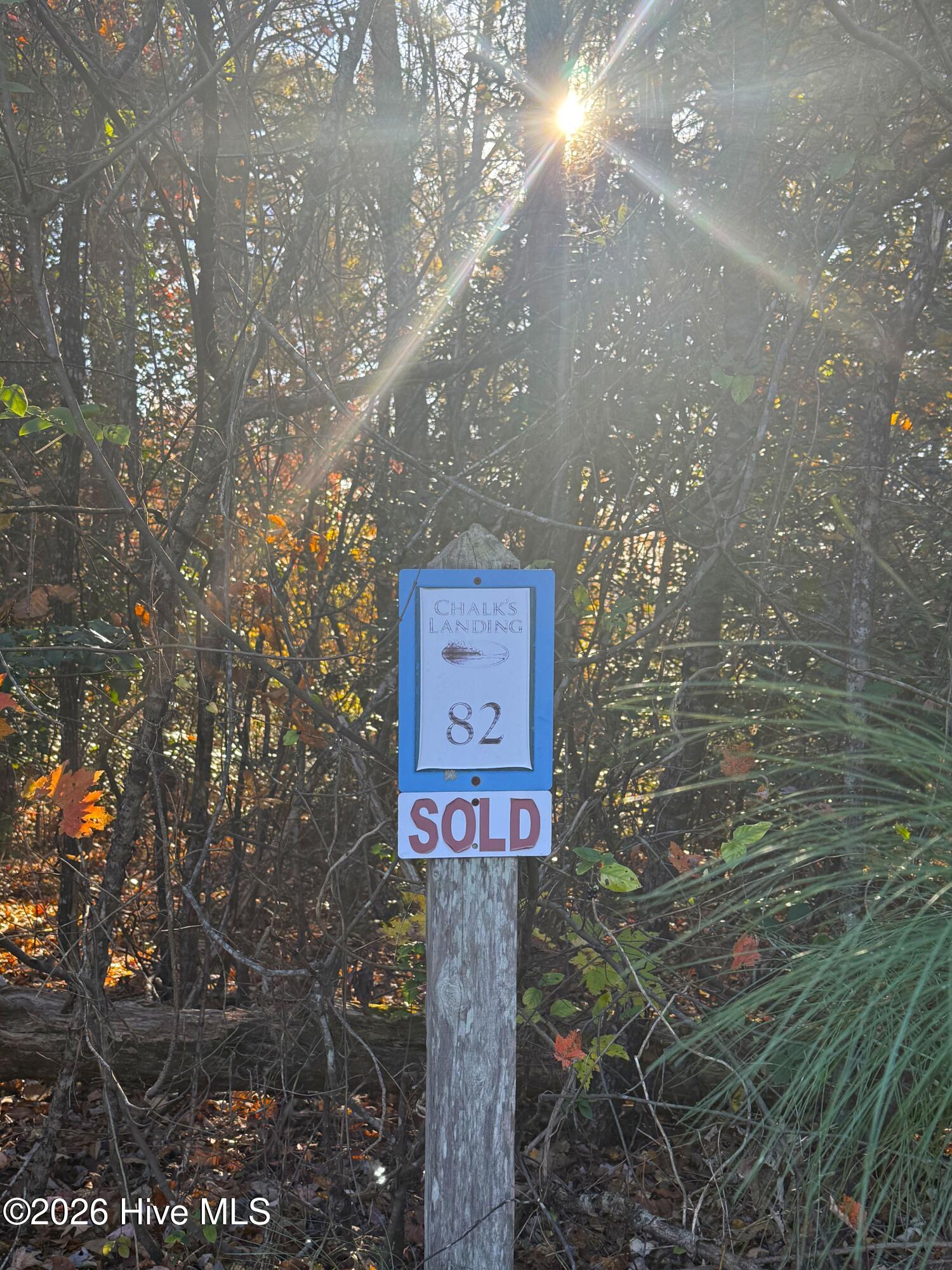 173 Lake View Pass Rockingham, NC 28379 - Photo 10 of 19 IMG_5047