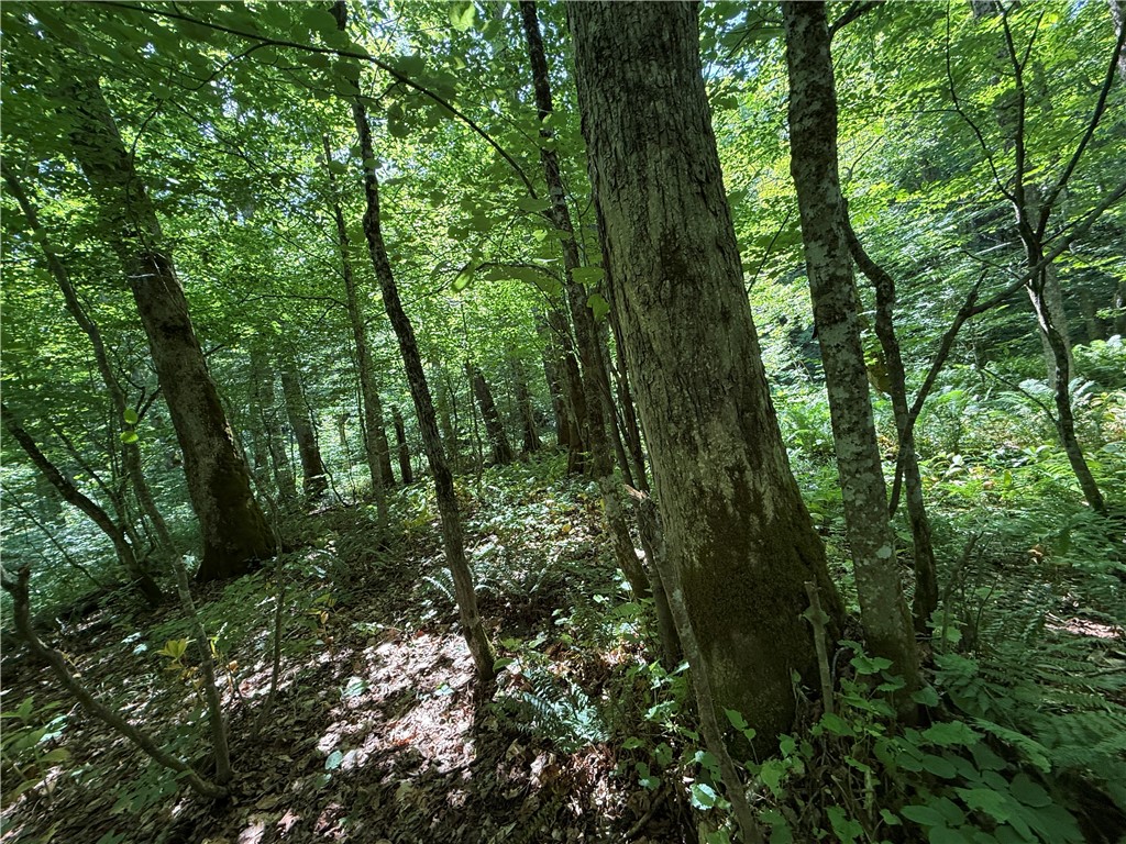 V/l Beaver Creek Road Redfield, NY 13437 - Photo 13 of 35 Gallery Image 13