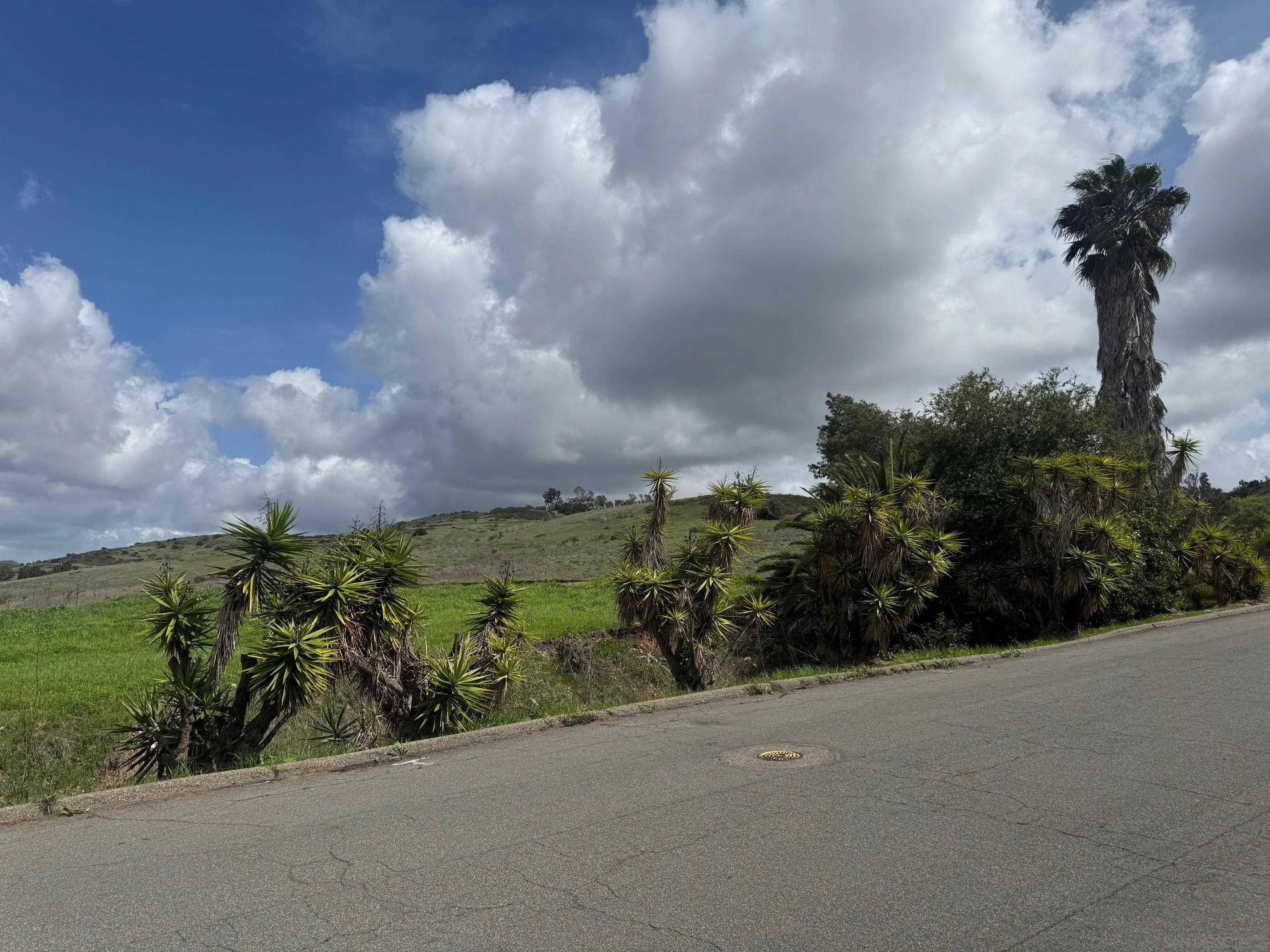 12710 Montauk Street Poway, CA 92064 - Photo 24 of 51 a view of a garden