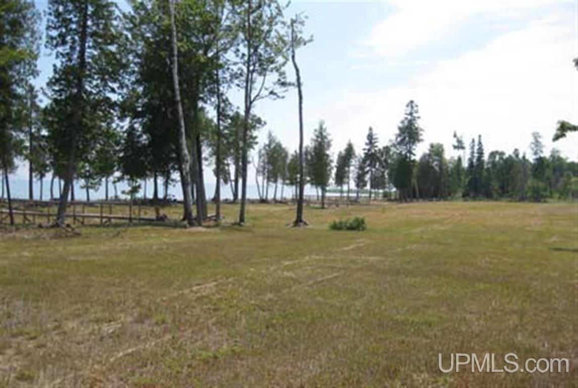 Tbd Co Rd 435 Common Manistique, MI 49854 - Photo 4 of 14