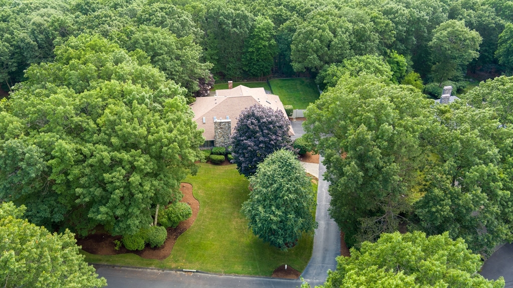 18 Kings Road Sharon, MA 02067 - Photo 42 of 42