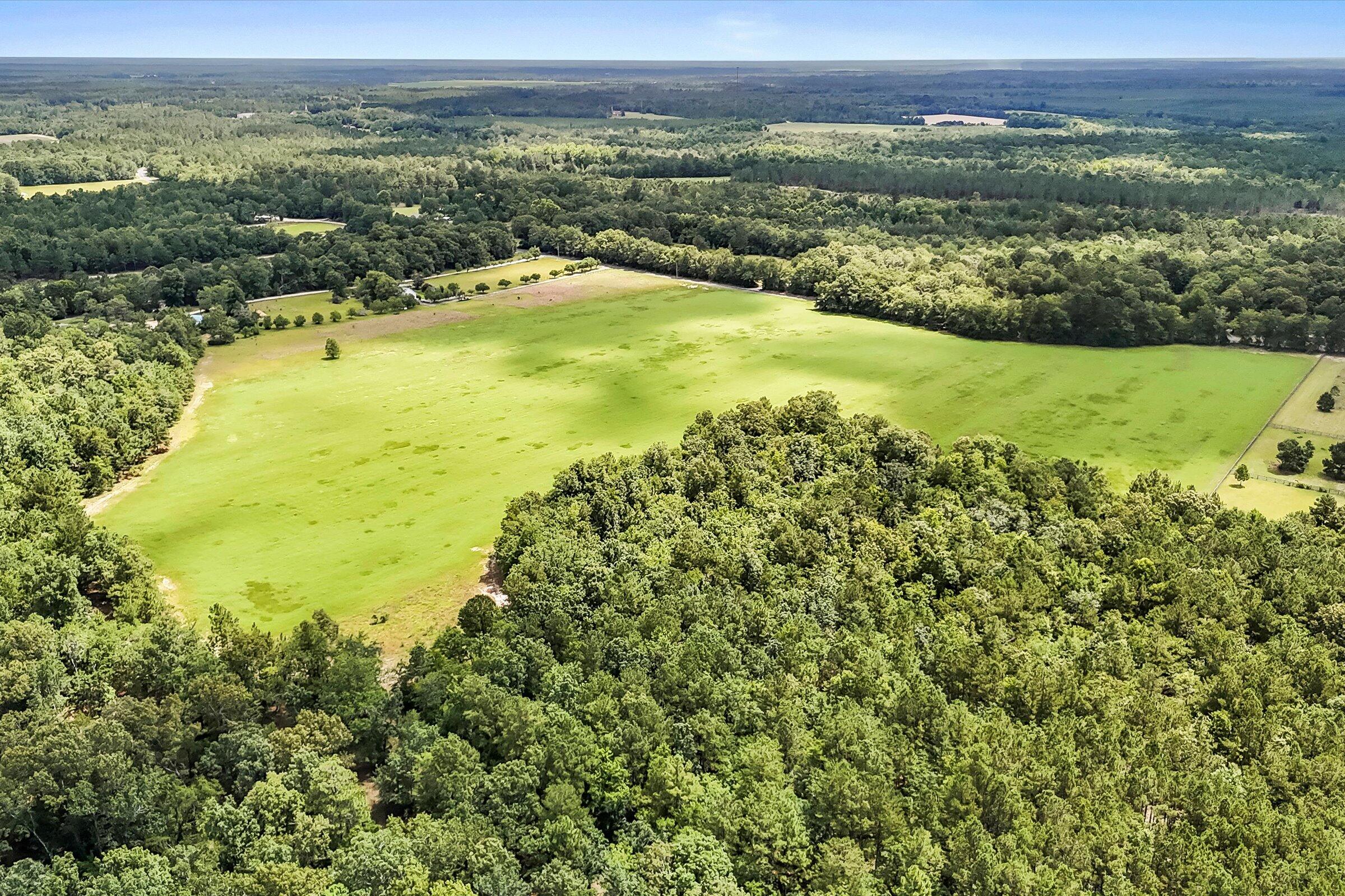 Lot 2 Mt Beulah Road Windsor, SC 29856 - Photo 6 of 15