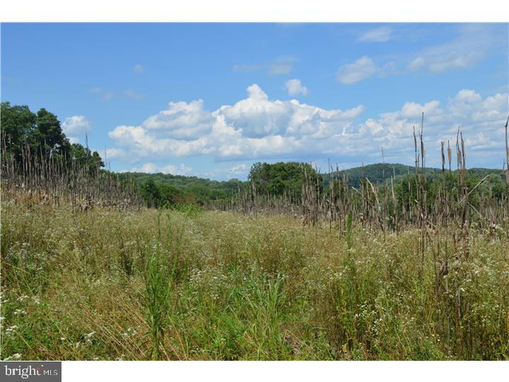 1542 Street Road Chester Springs, PA 19425 - Photo 8 of 21 Gallery Image 8