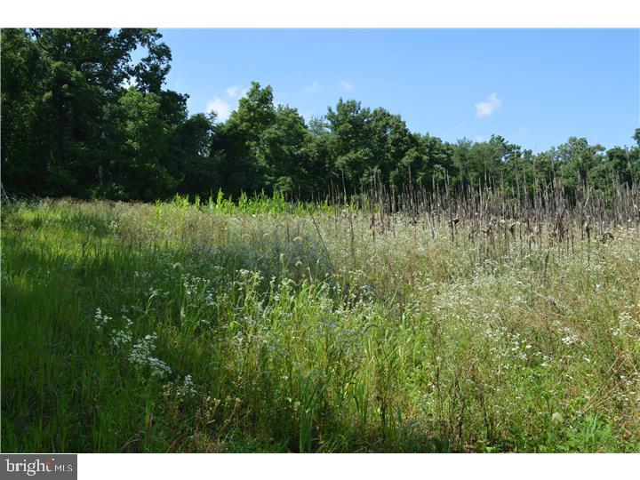 1542 Street Road Chester Springs, PA 19425 - Photo 9 of 21 Gallery Image 9