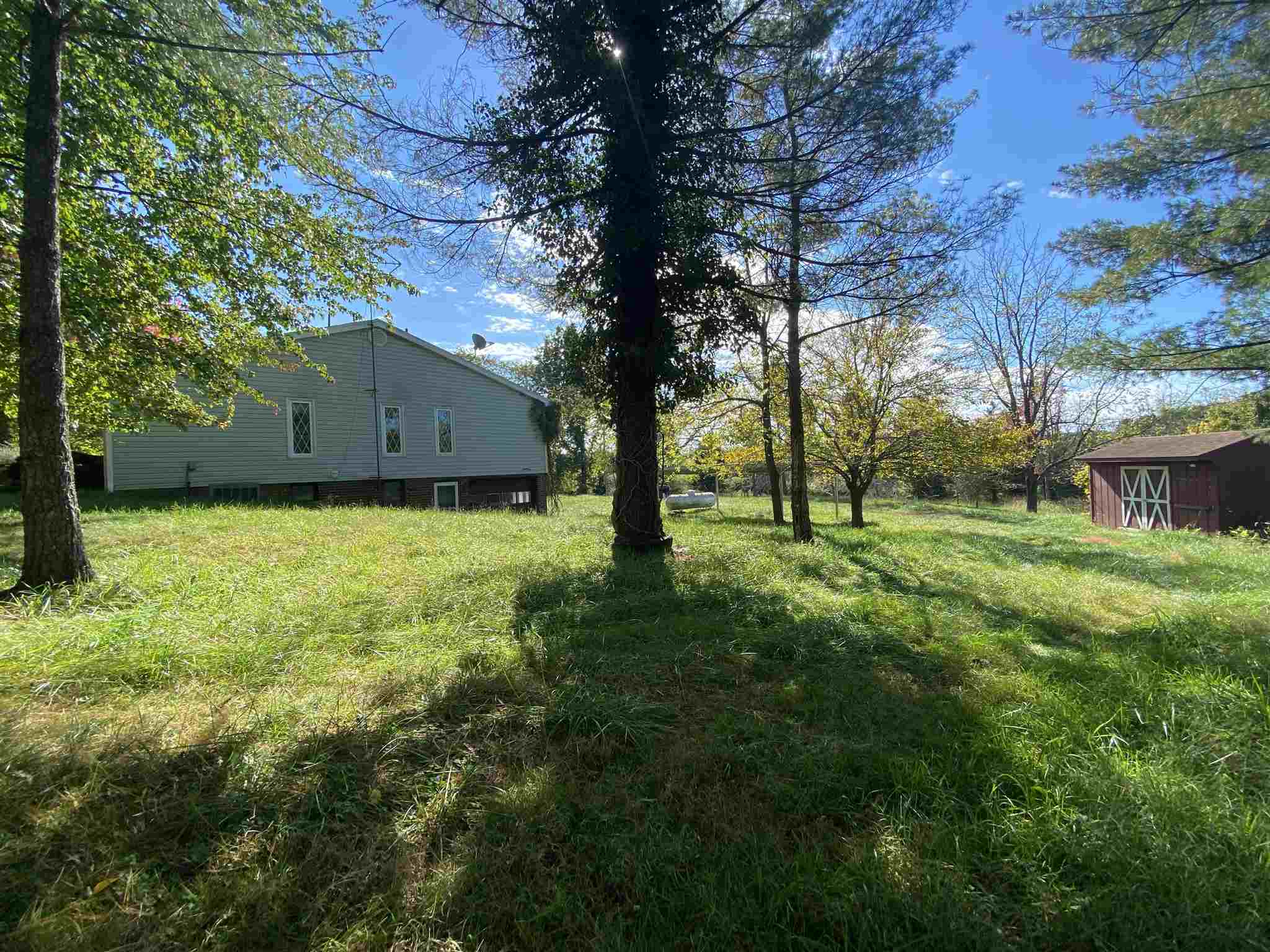 1773 Roman Road Mount Sidney, VA 24467 - Photo 13 of 45 a view of a yard with a tree