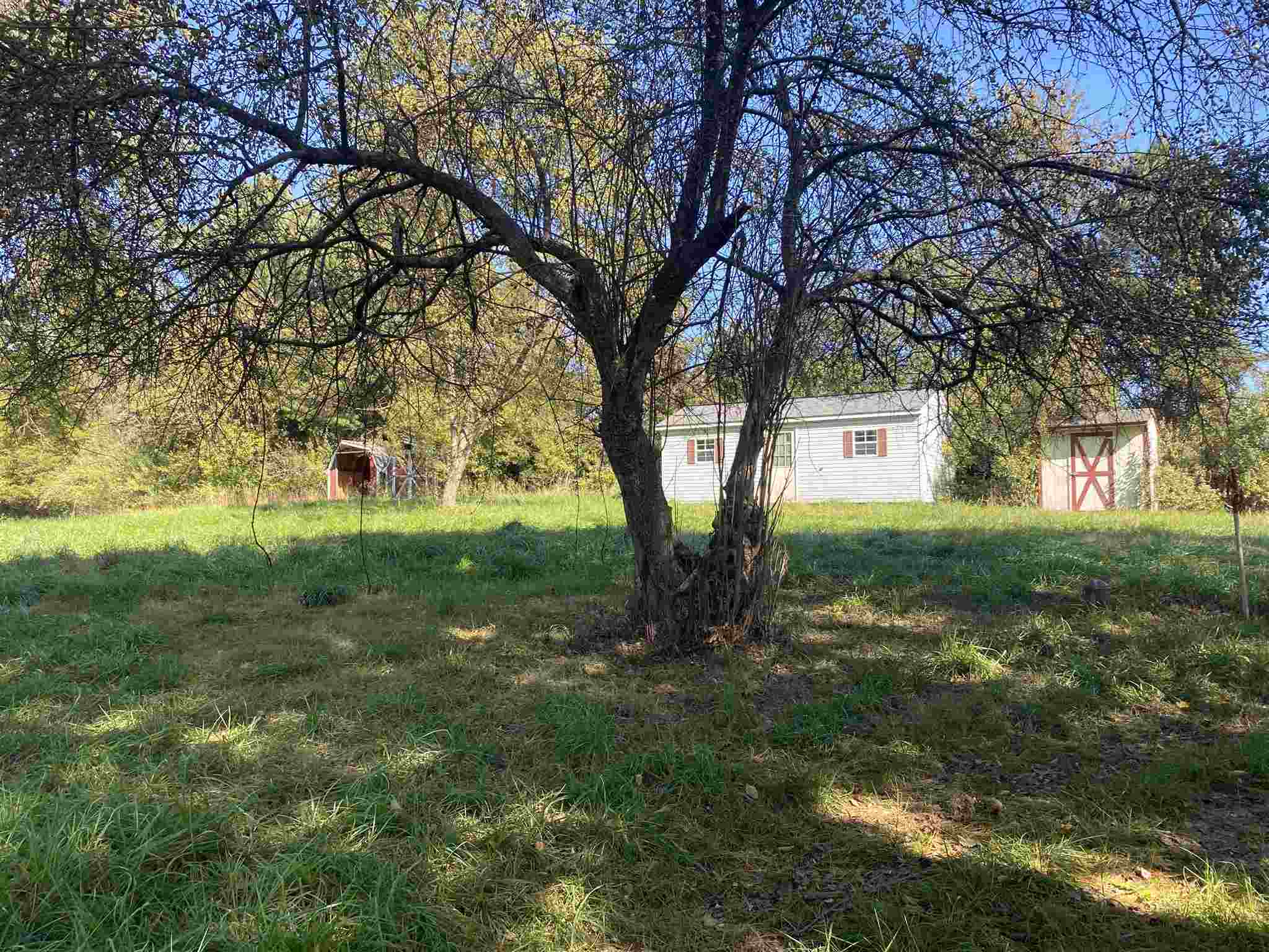 1773 Roman Road Mount Sidney, VA 24467 - Photo 14 of 45 a view of yard with green space