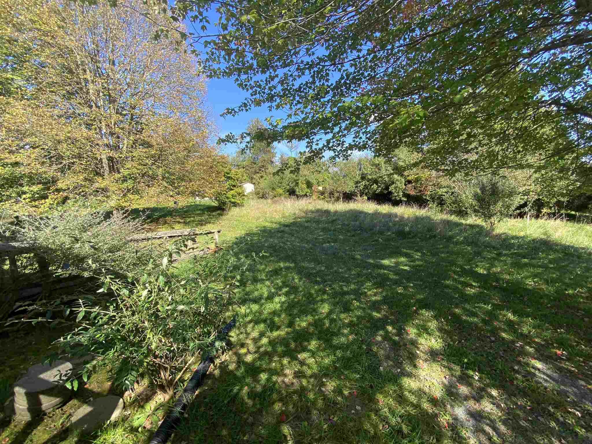 1773 Roman Road Mount Sidney, VA 24467 - Photo 15 of 45 a view of a yard with a tree