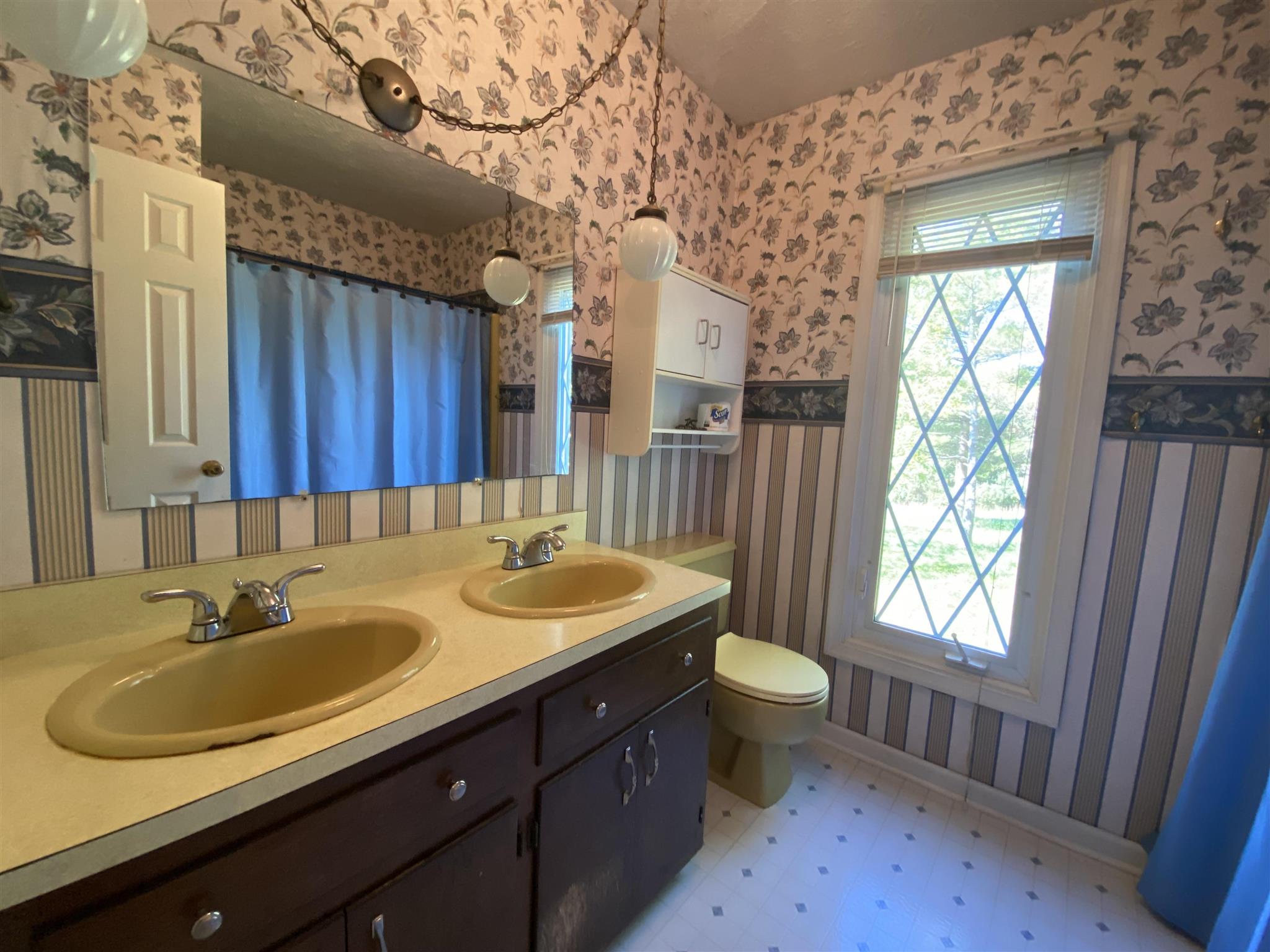 1773 Roman Road Mount Sidney, VA 24467 - Photo 33 of 45 a bathroom with a sink a toilet a mirror and a window