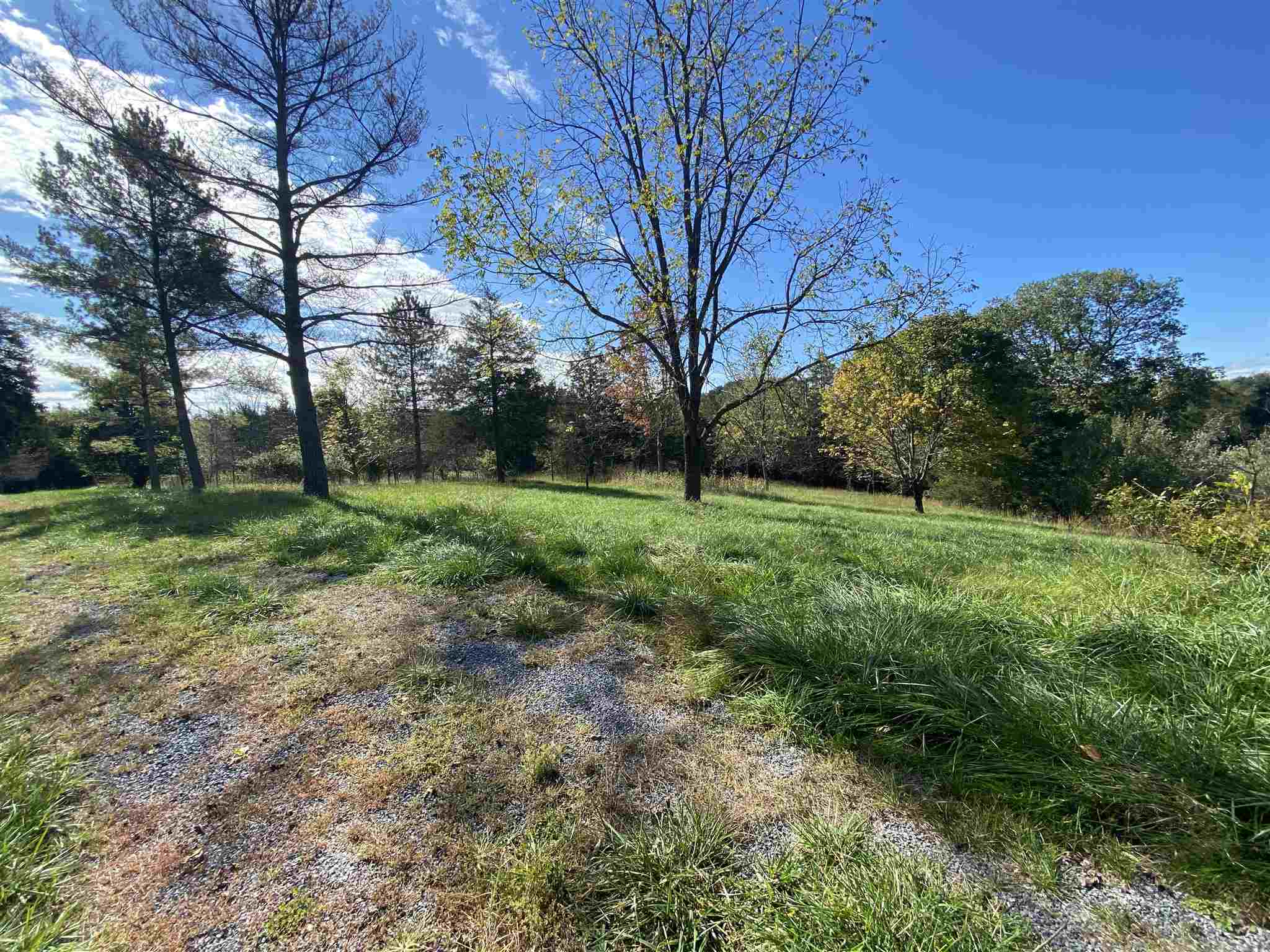 1773 Roman Road Mount Sidney, VA 24467 - Photo 10 of 45 a view of a grassy field with trees