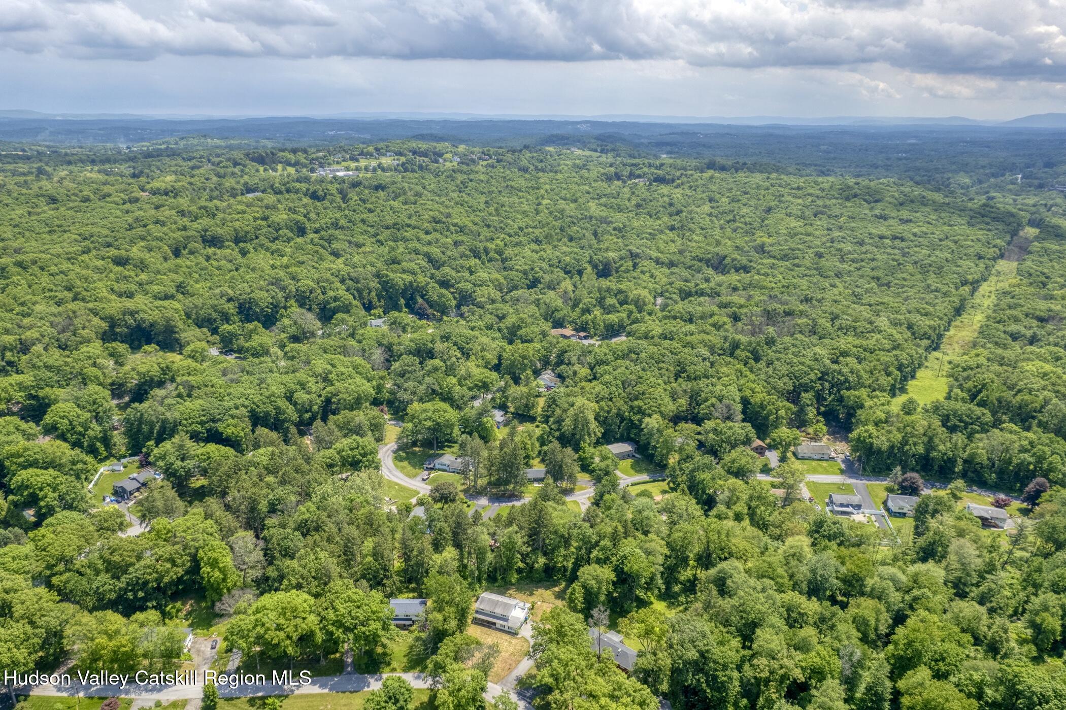 22 Robert Drive Hyde Park, NY 12538 - Photo 52 of 52 a view of a big yard with plants and large trees