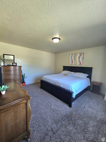 601 West 150 North, Unit 25 Springville, UT 84663 - Photo 14 of 29 Neutral-toned walls complement the textured ceiling and plush carpet flooring