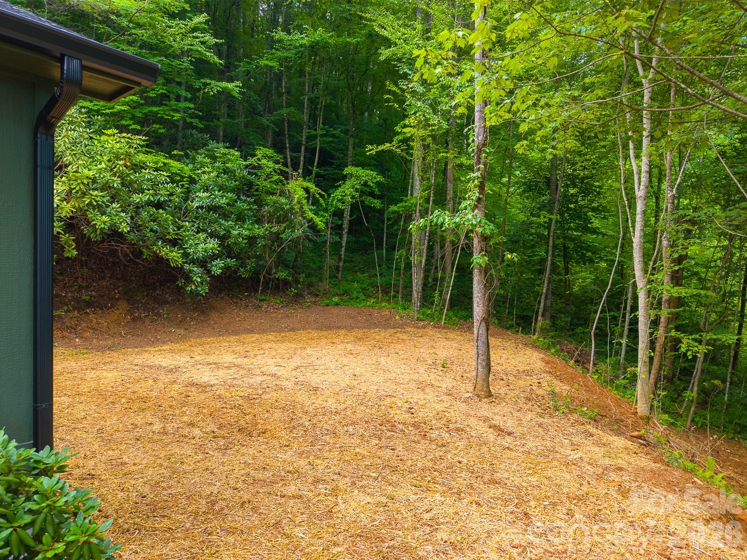 264 Westridge Road Sylva, NC 28779 - Photo 24 of 48