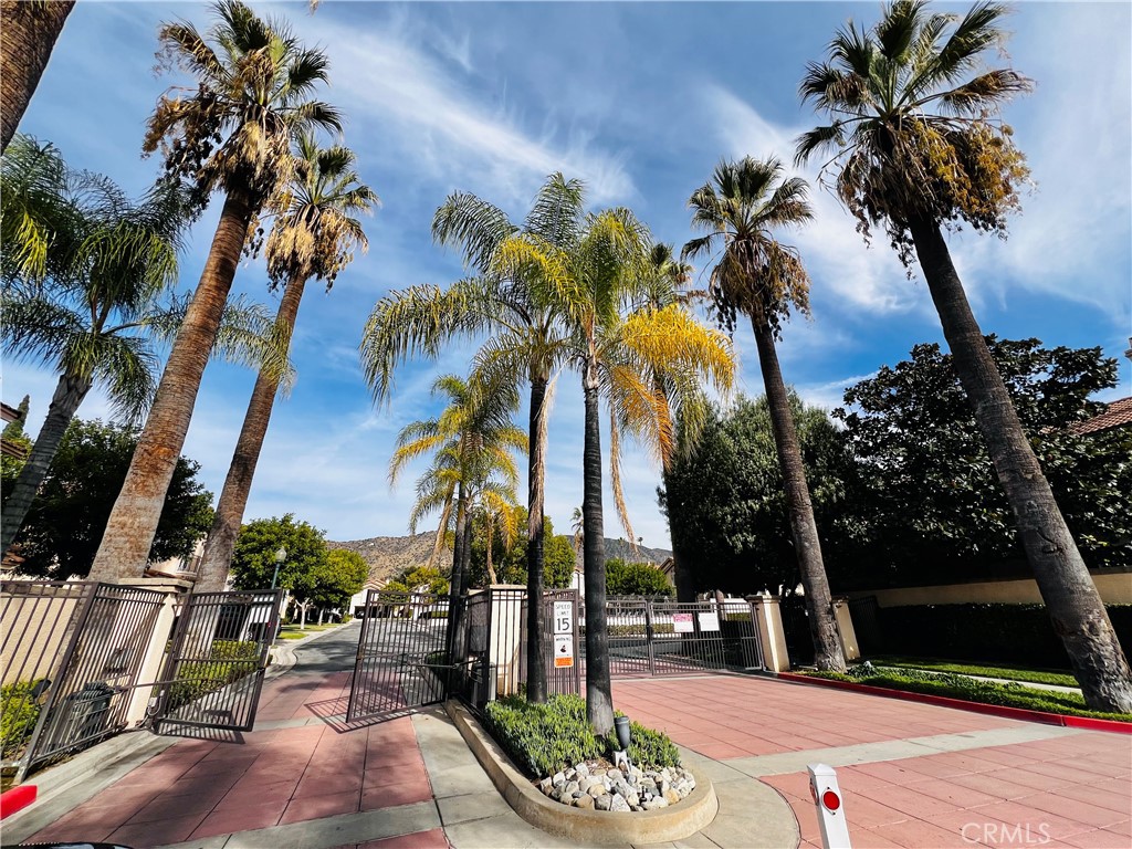 743 Orchard Loop Azusa, CA 91702 - Photo 38 of 38 a view of a palm tree with a patio