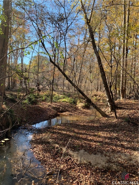 0 Center Church Road Stephens, GA 30667 - Photo 16 of 26