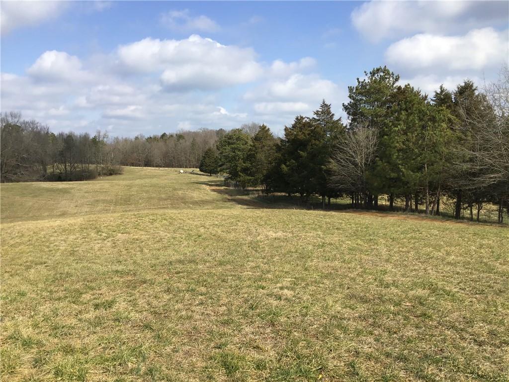 0 Covington Bridge Road Southeast Fairmount, GA 30139 - Photo 1 of 1