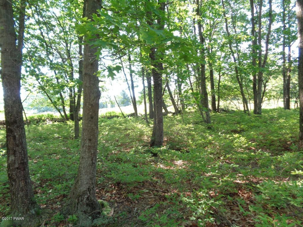 127 Mountain View Road Greeley, PA 18425 - Photo 7 of 36 8 Back of Property