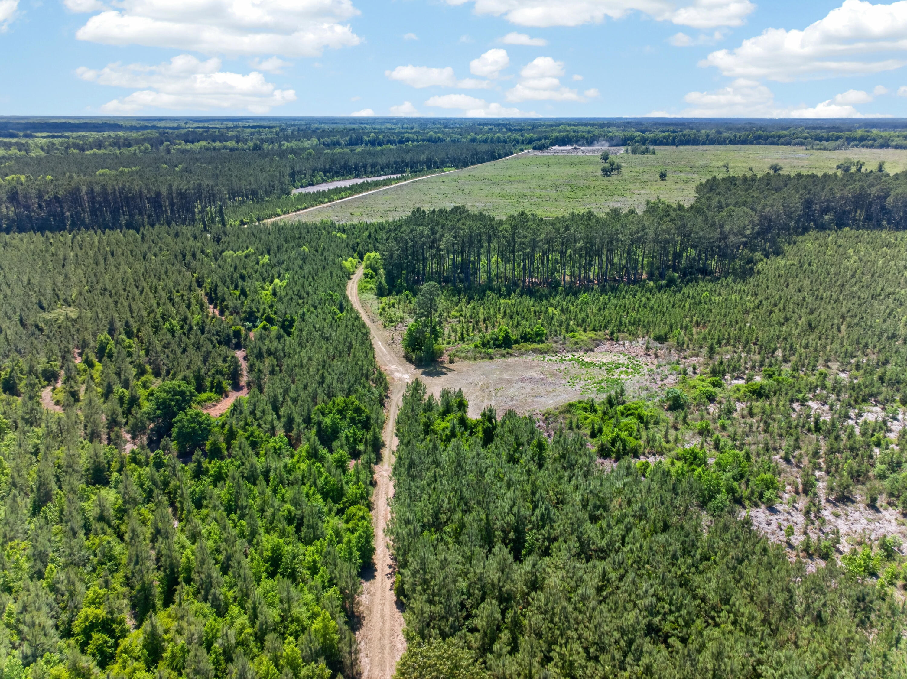 5120 North Brewington Road, Unit 10 Alcolu, SC 29001 - Photo 31 of 40 DJI_20260521140630_0086_D
