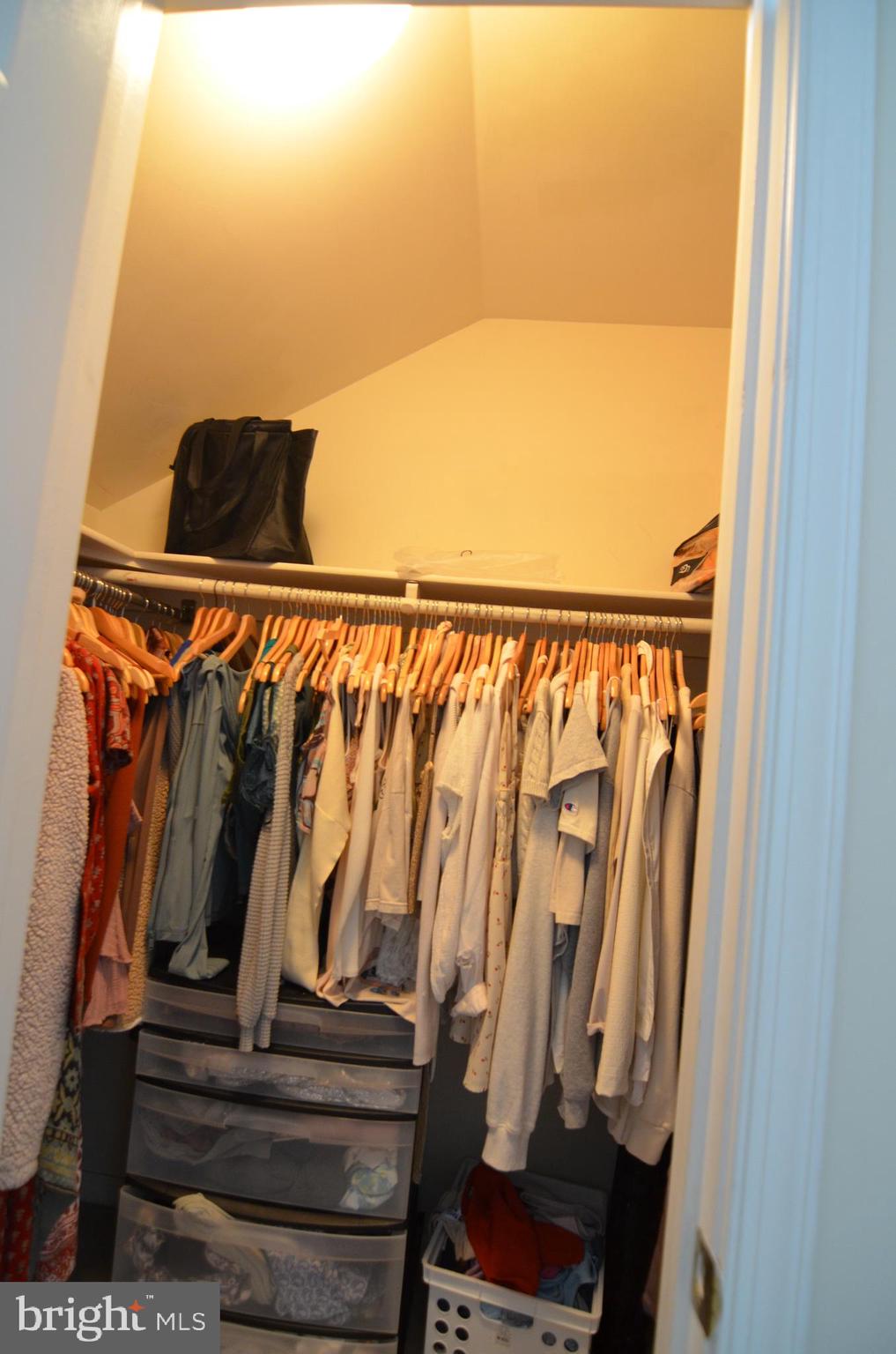 8173 Boss Street Vienna, VA 22182 - Photo 42 of 59 walk-in closet upper 2