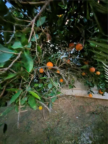 $3,370 | 21329 Tennyson Road, Moreno Valley, CA 92557