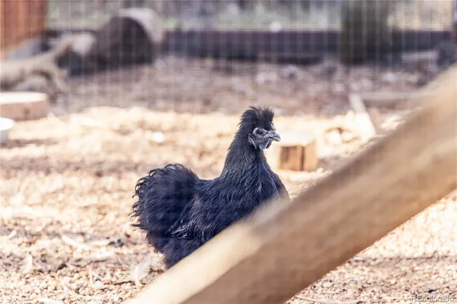 $1,260,000 | 1712 Stonehenge Drive, Lafayette, CO 80026