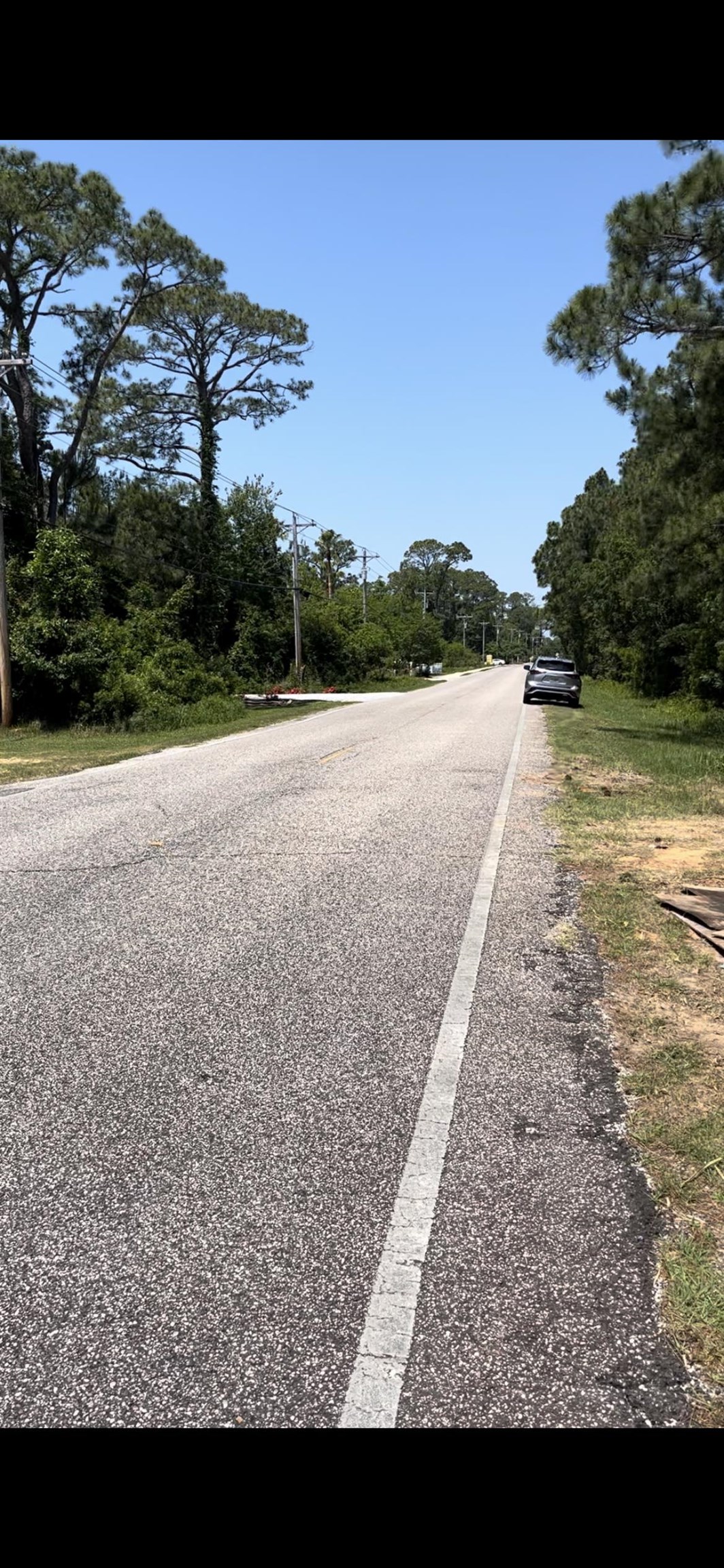 37824 County Road 1 Fairhope, AL 36532 - Photo 15 of 17 Looking North