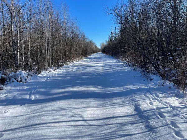 $59,000 | 508 Cedar Valley Road, Floodwood, MN 55736