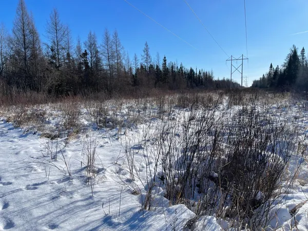 $59,000 | 508 Cedar Valley Road, Floodwood, MN 55736