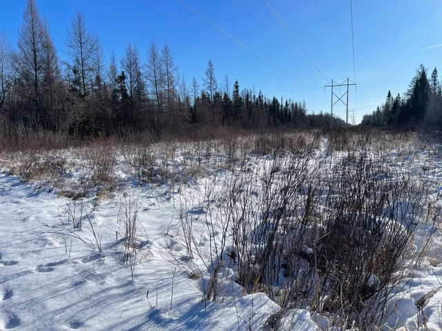 $59,000 | 508 Cedar Valley Road, Floodwood, MN 55736