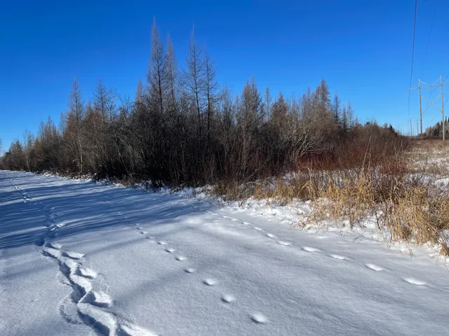 $59,000 | 508 Cedar Valley Road, Floodwood, MN 55736