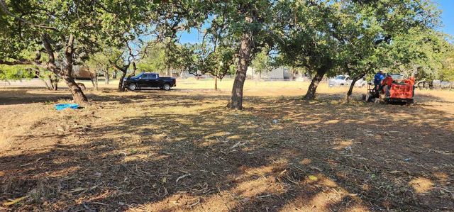 a view of outdoor space with trees