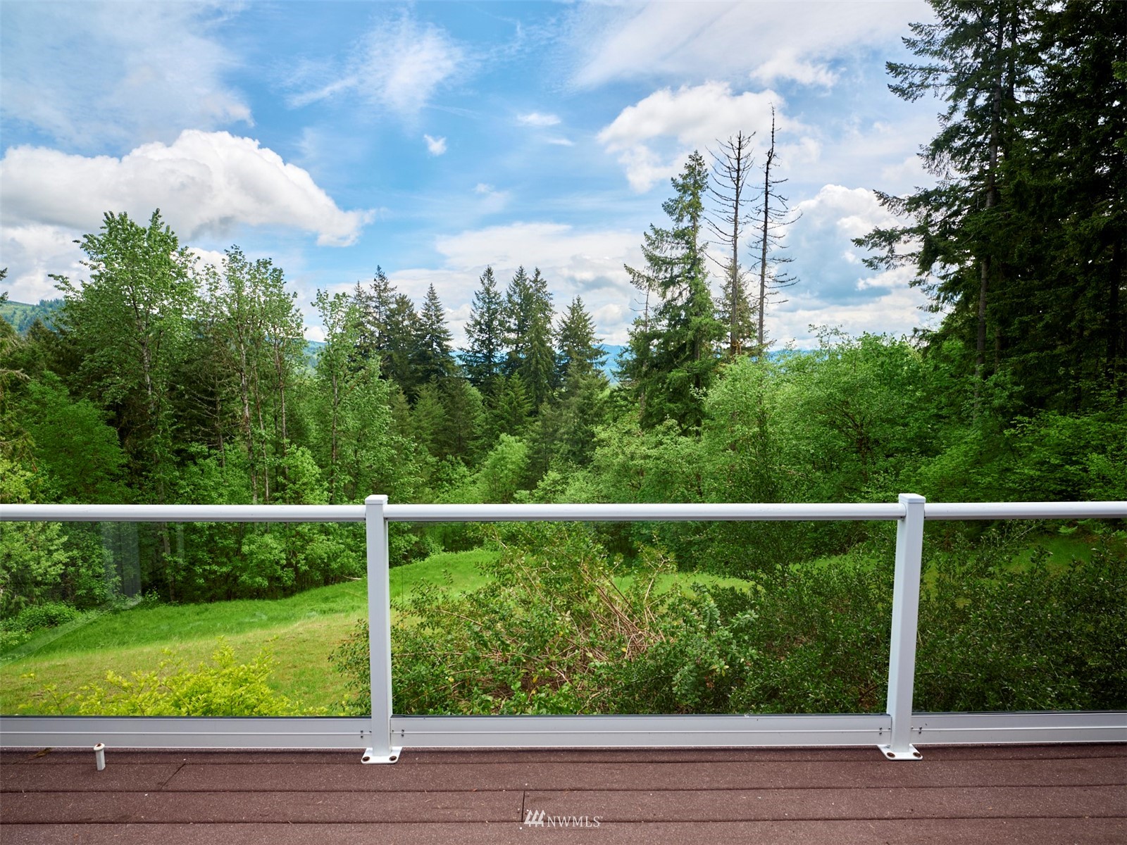 245 Wieri Road Woodland, WA 98674 - Photo 8 of 33 Gallery Image 8