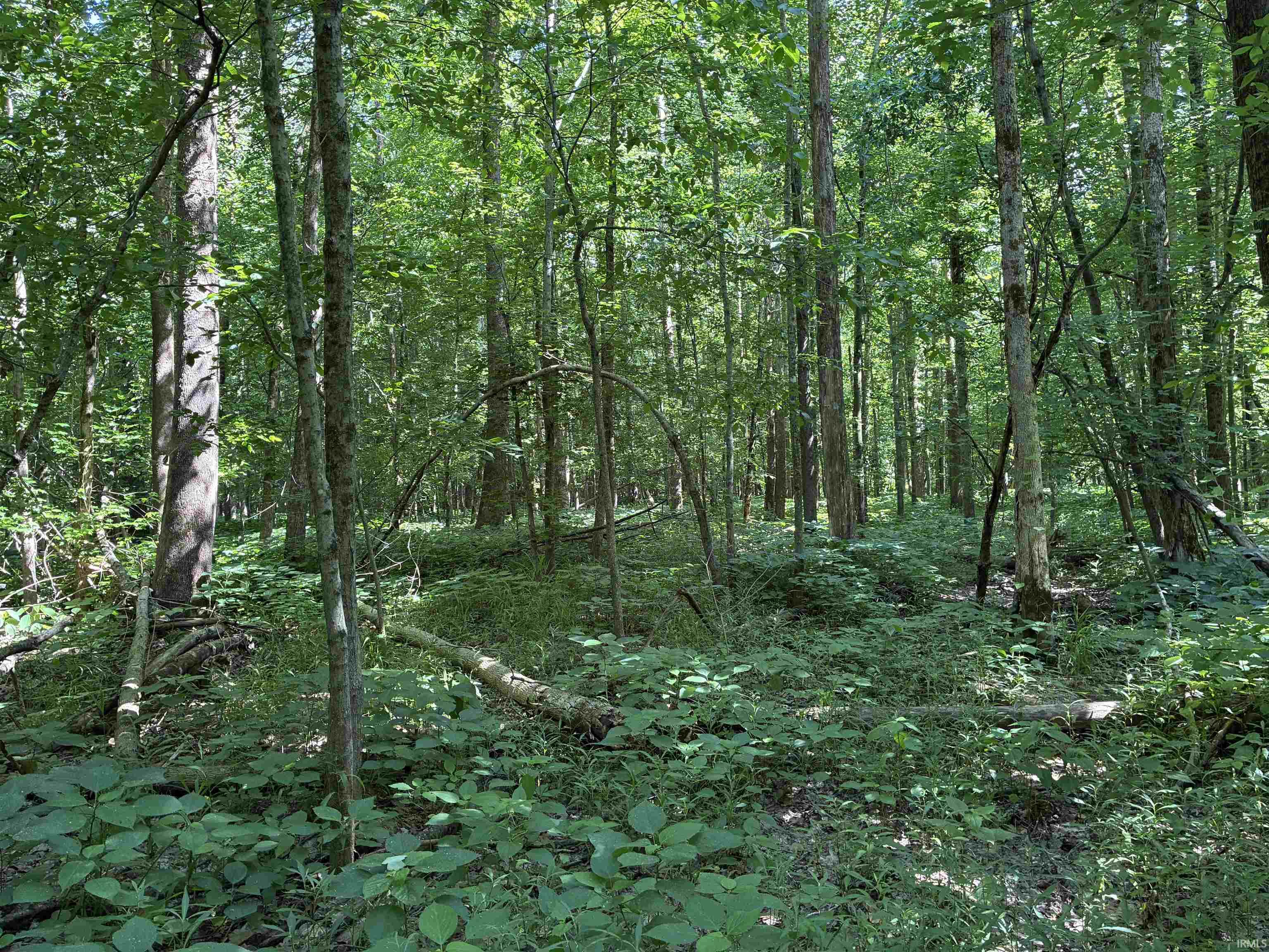 257 State Road Velpen, IN 47590 - Photo 20 of 29