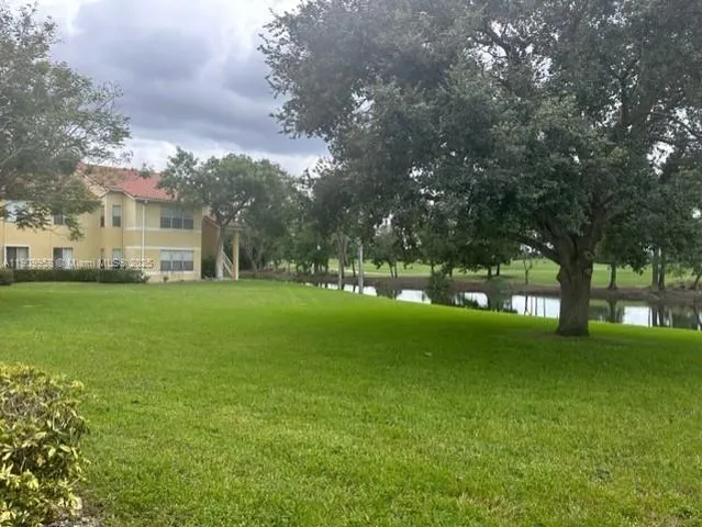 a view of a park with large trees