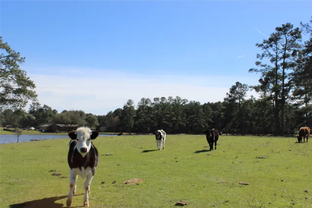 a view of a dining room with a table and chairs