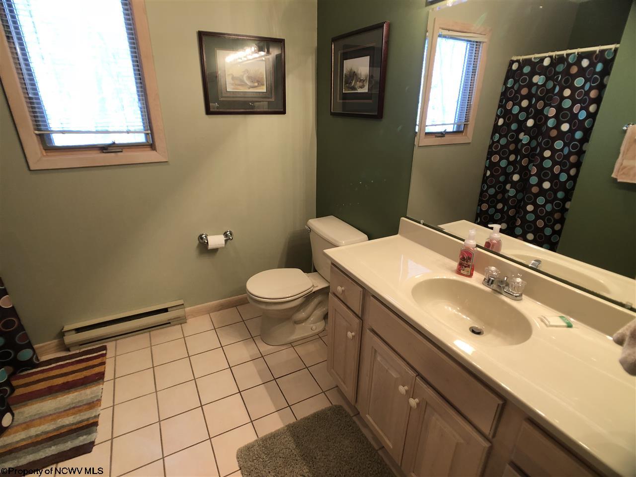 318 Northpoint Way Davis, WV 26260 - Photo 20 of 20 Gallery Image 20